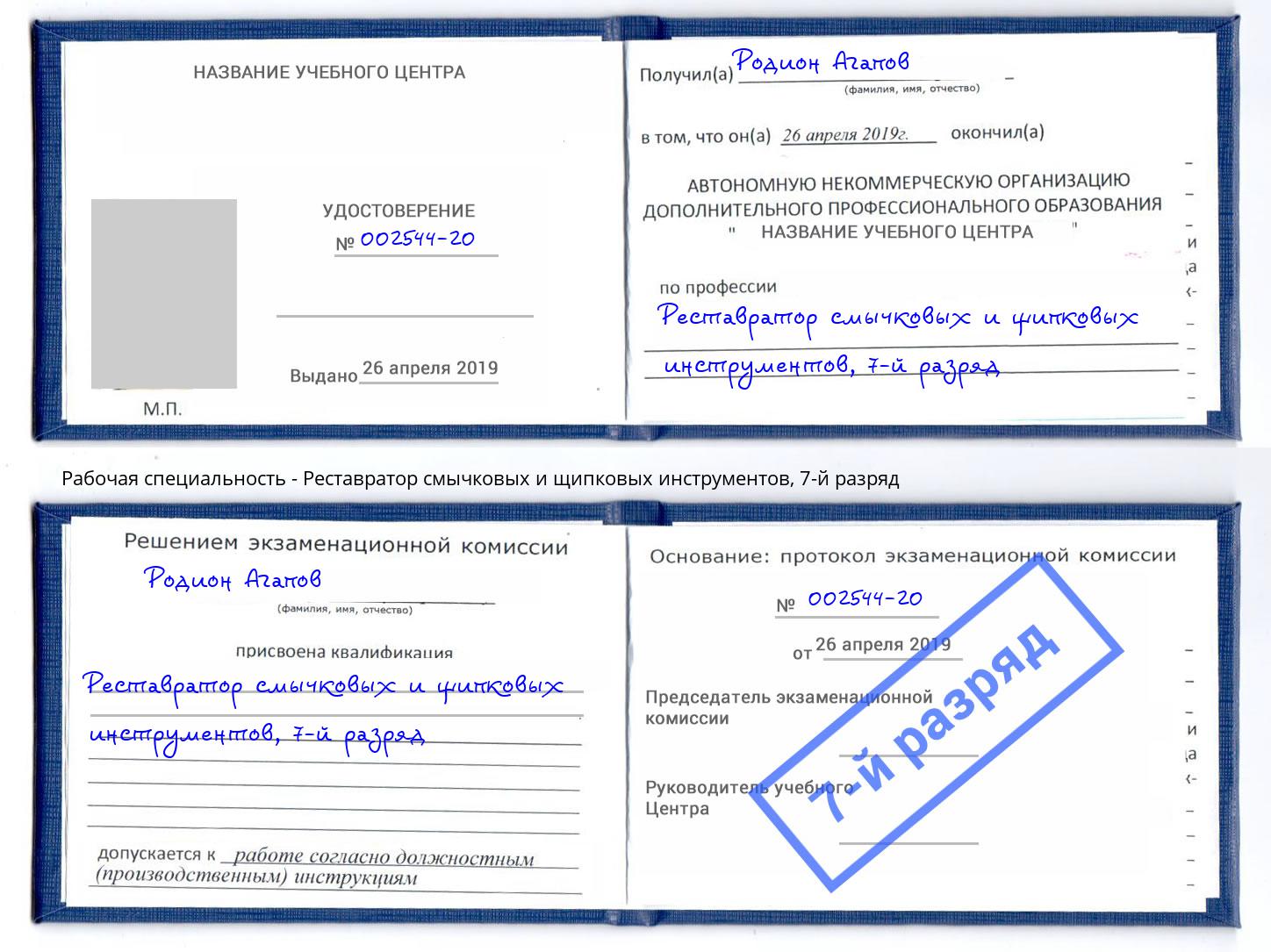 корочка 7-й разряд Реставратор смычковых и щипковых инструментов Лыткарино