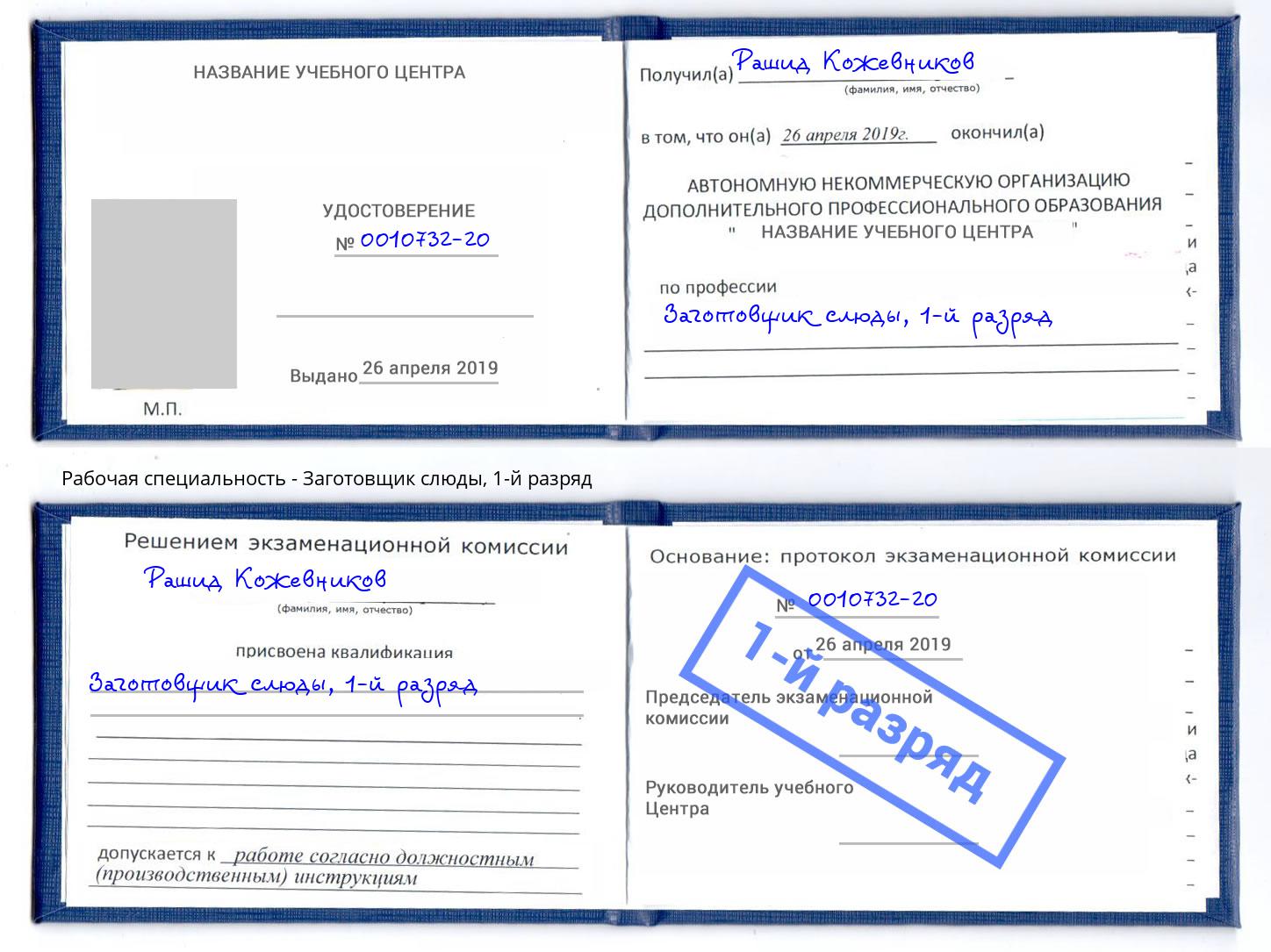 корочка 1-й разряд Заготовщик слюды Лыткарино